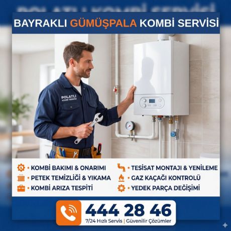 Bayraklı Gümüşpala Kombi Servisi